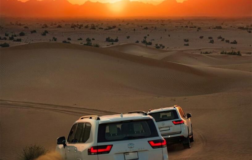 Evening Desert Safari