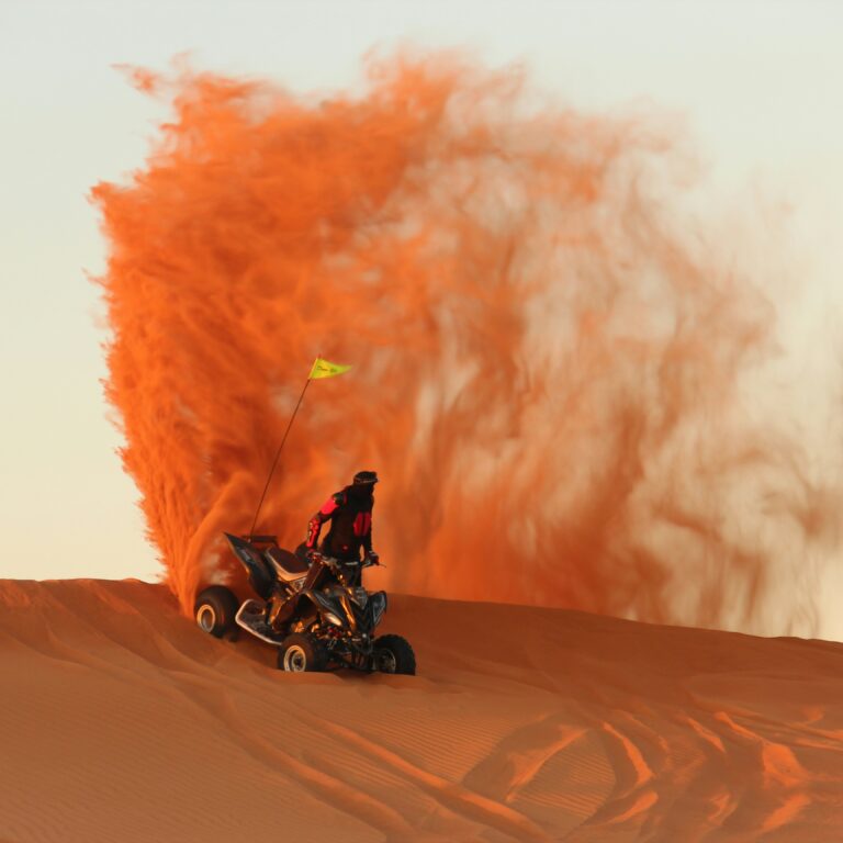 1 Day Trip in Dubai
