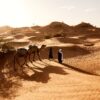 People walking with camels across golden sand dunes during an Abu Dhabi desert safari at sunset, with long shadows stretching over the desert.