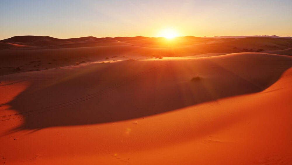 Golden sand dunes glowing at sunrise in a vast desert landscape, showcasing the serene beauty experienced on offbeat desert tours dubai.