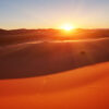 Golden sand dunes glowing at sunrise in a vast desert landscape, showcasing the serene beauty experienced on offbeat desert tours dubai.