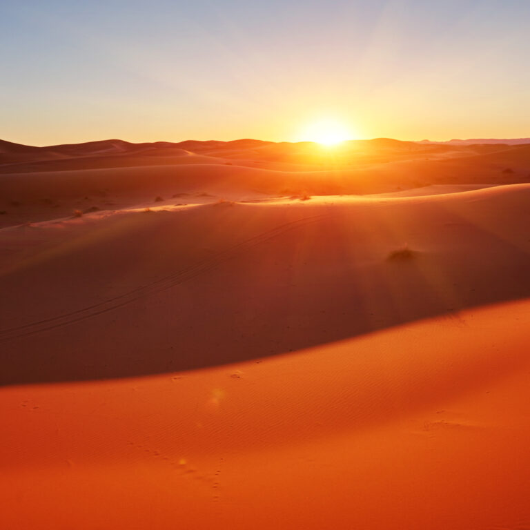 Golden sand dunes glowing at sunrise in a vast desert landscape, showcasing the serene beauty experienced on offbeat desert tours dubai.