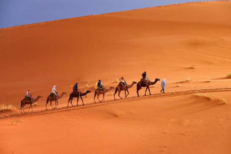 Camel Ride Dubai experience with a guided caravan of tourists riding camels across golden desert sand dunes under a clear sky.