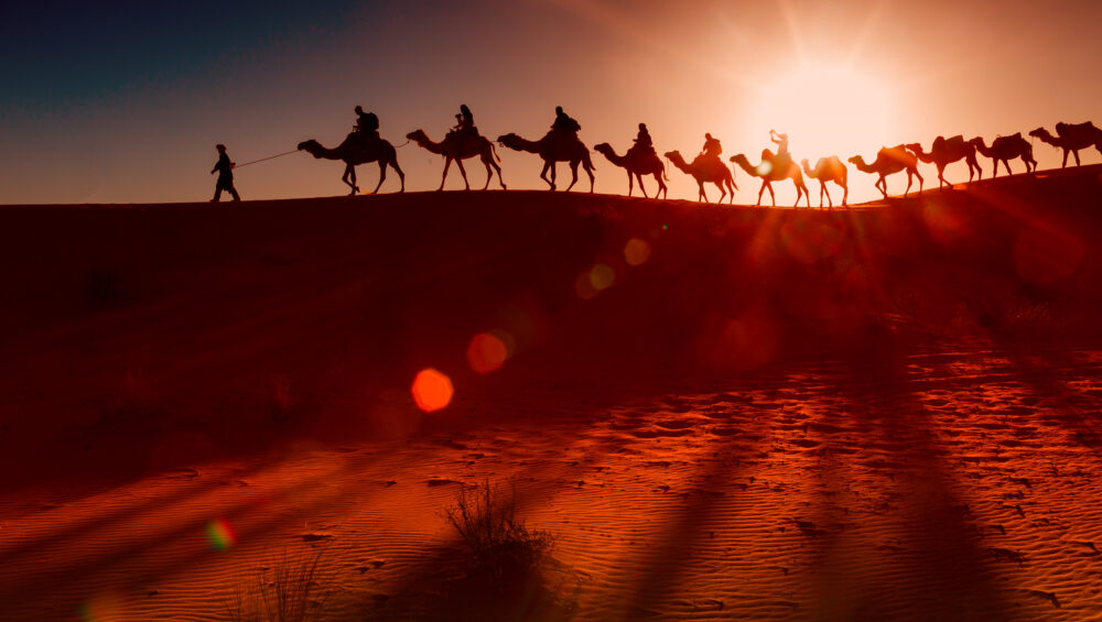 Silhouette of a camel caravan crossing golden dunes during an Evening Desert Safari Dubai at sunset.