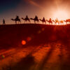 Silhouette of a camel caravan crossing golden dunes during an Evening Desert Safari Dubai at sunset.