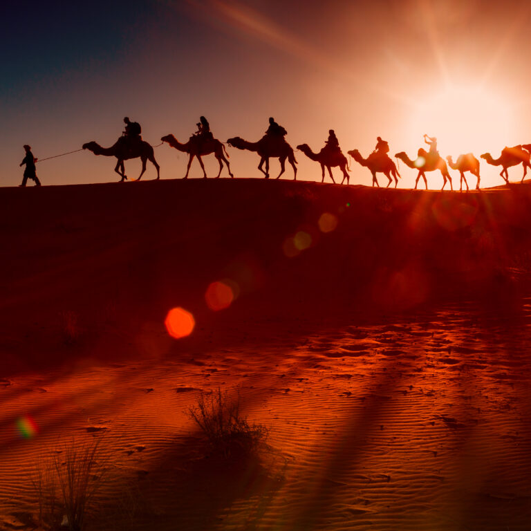 Silhouette of a camel caravan crossing golden dunes during an Evening Desert Safari Dubai at sunset.