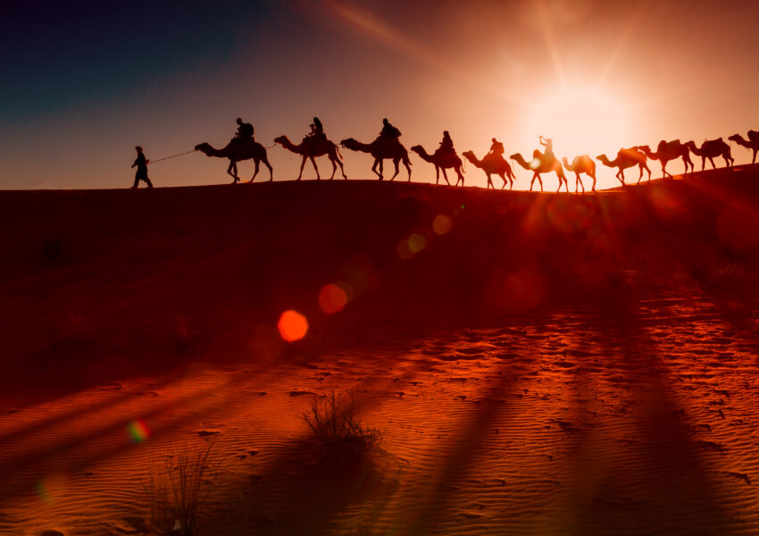 Silhouette of a camel caravan crossing golden dunes during an Evening Desert Safari Dubai at sunset.
