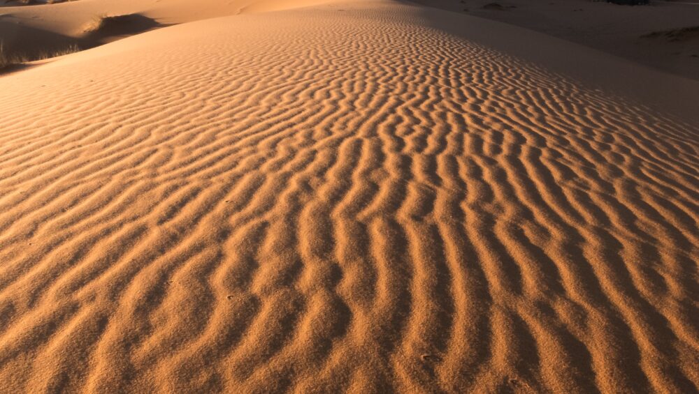 Golden rippled sand patterns across the stunning Liwa Desert Dunes, with towering dunes under a clear blue sky.