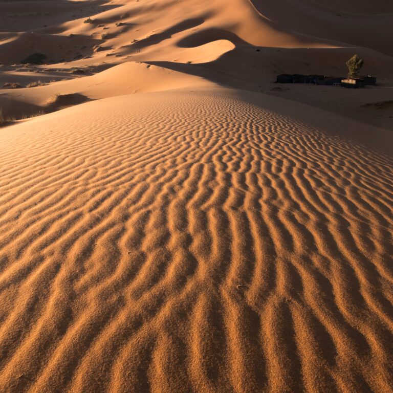 Golden rippled sand patterns across the stunning Liwa Desert Dunes, with towering dunes under a clear blue sky.