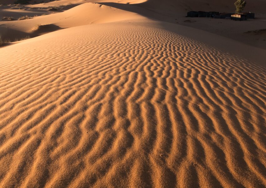 Golden rippled sand patterns across the stunning Liwa Desert Dunes, with towering dunes under a clear blue sky.